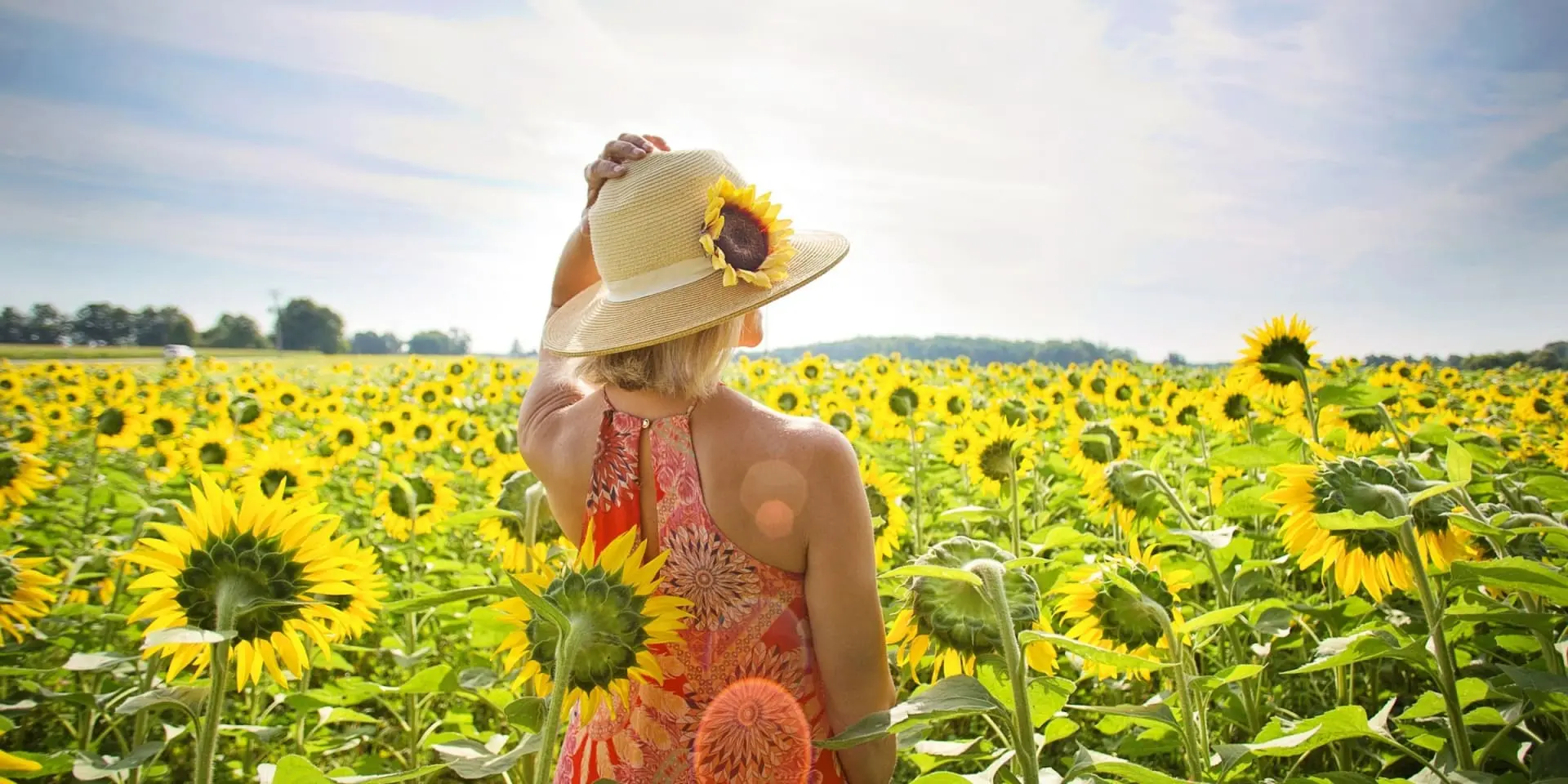 sunflower instagram captions