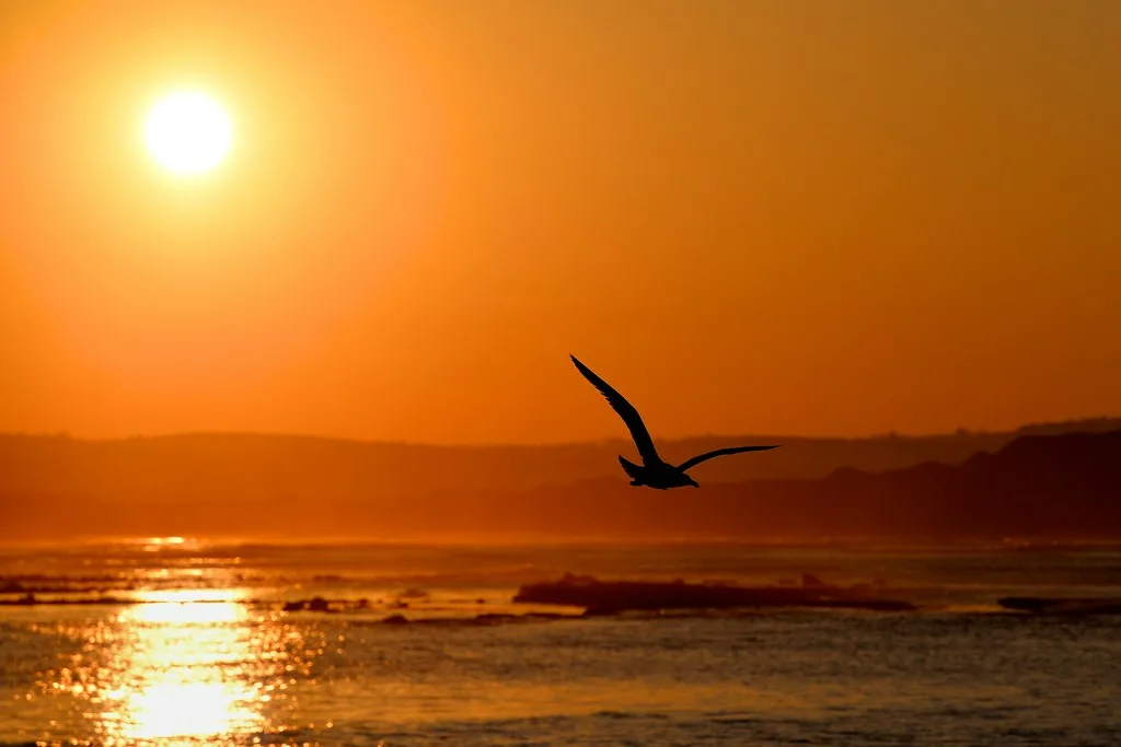 sunrise captions for instagram