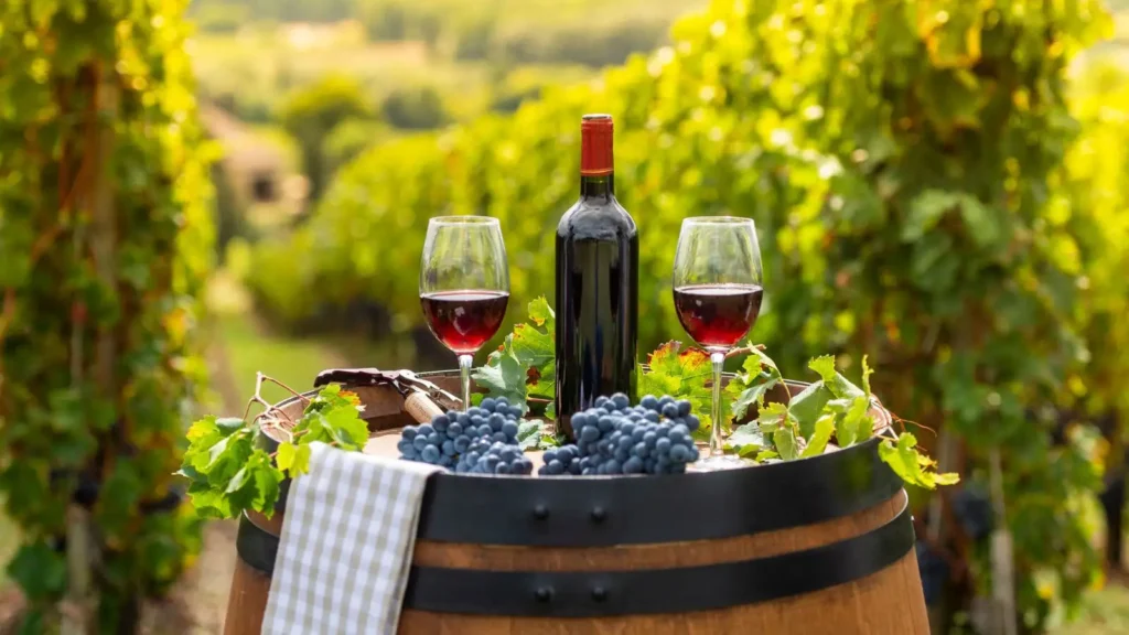 wine captions for instagram