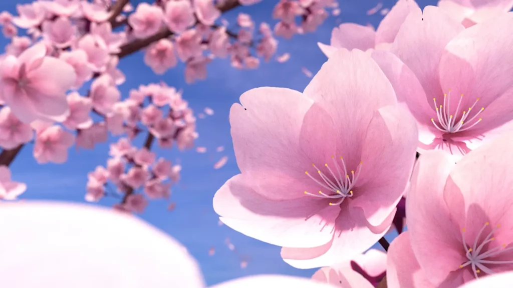 cherry blossom instagram captions