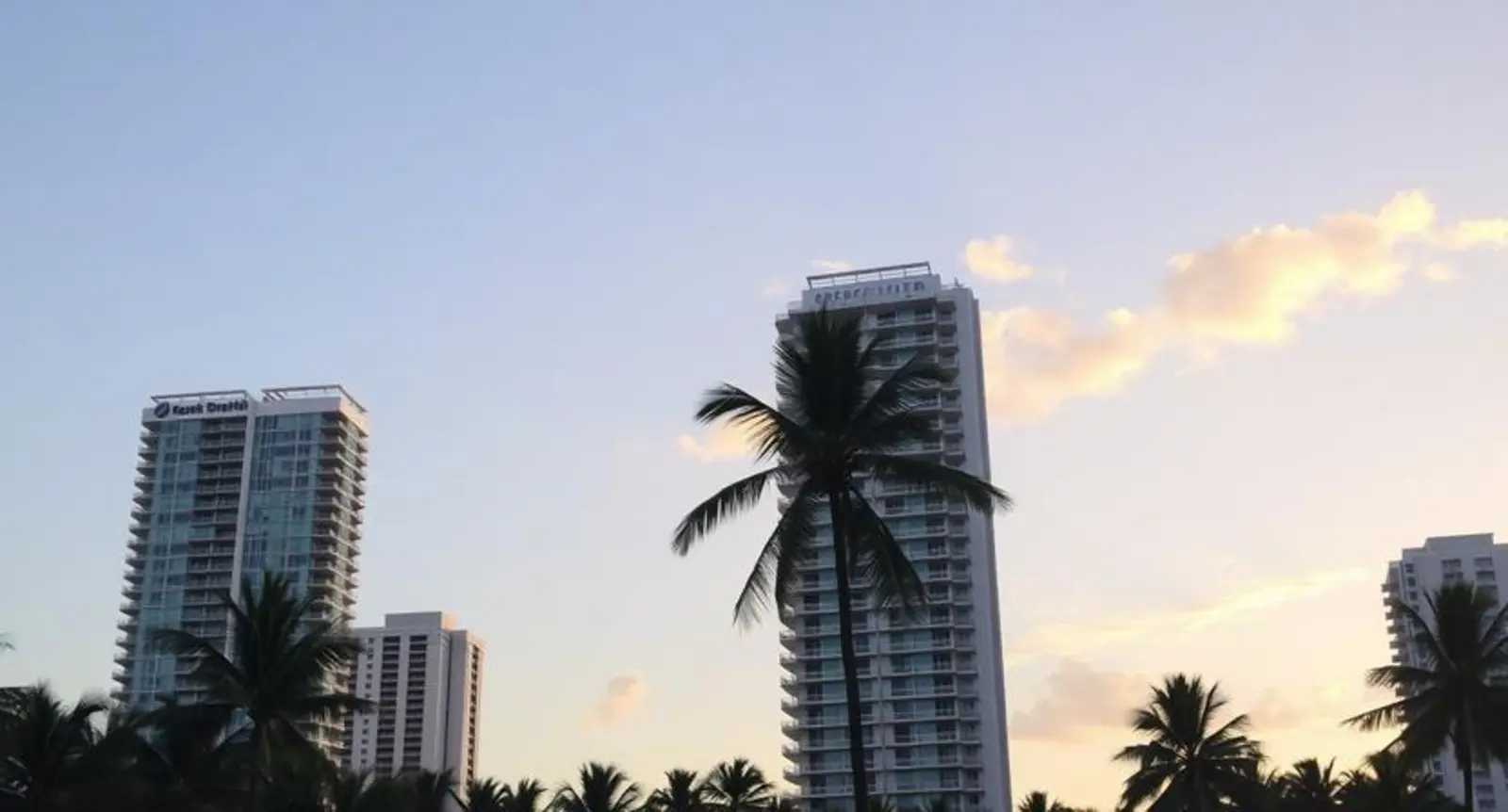 Miami captions for Instagram