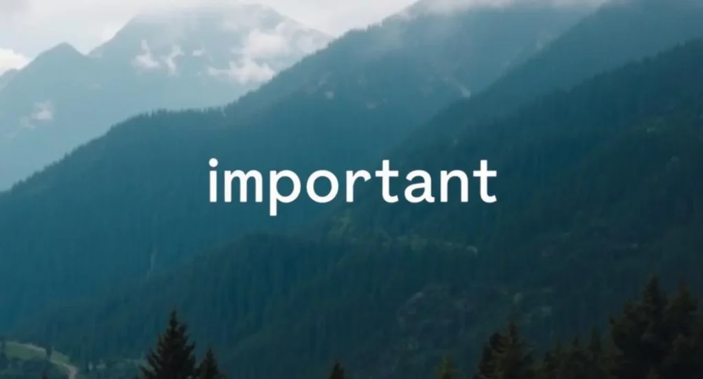 Synonyms for Important