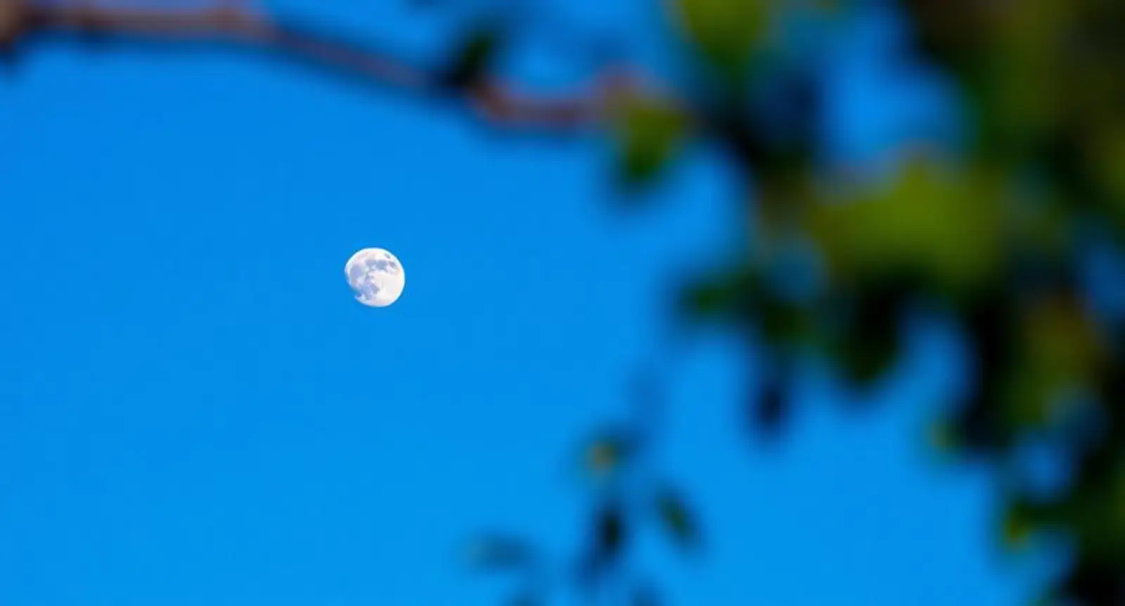 moon captions