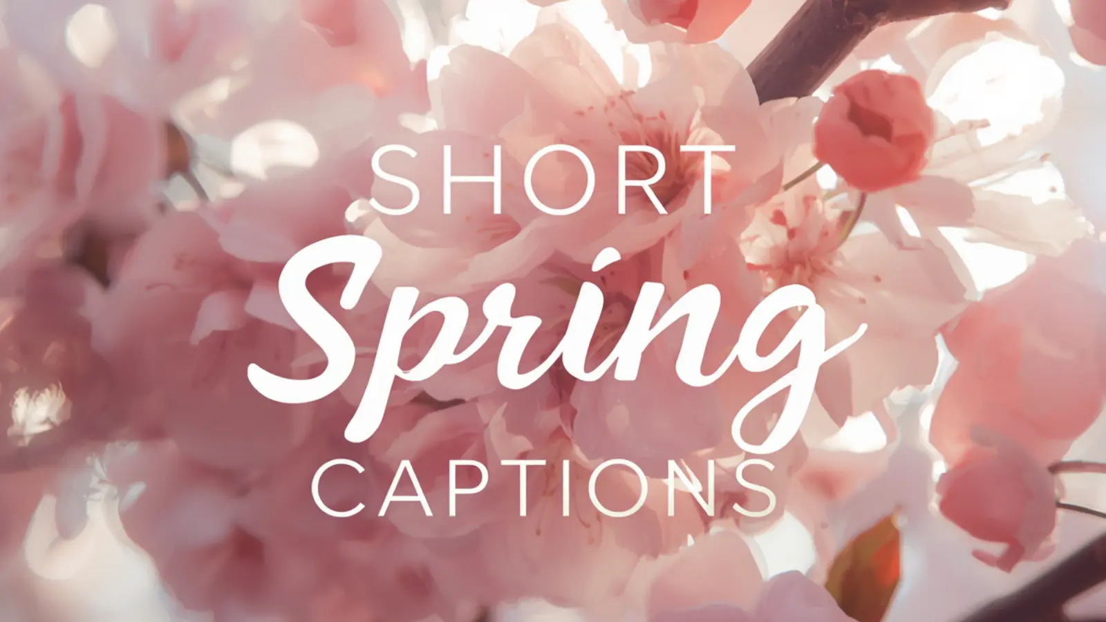 spring captions short