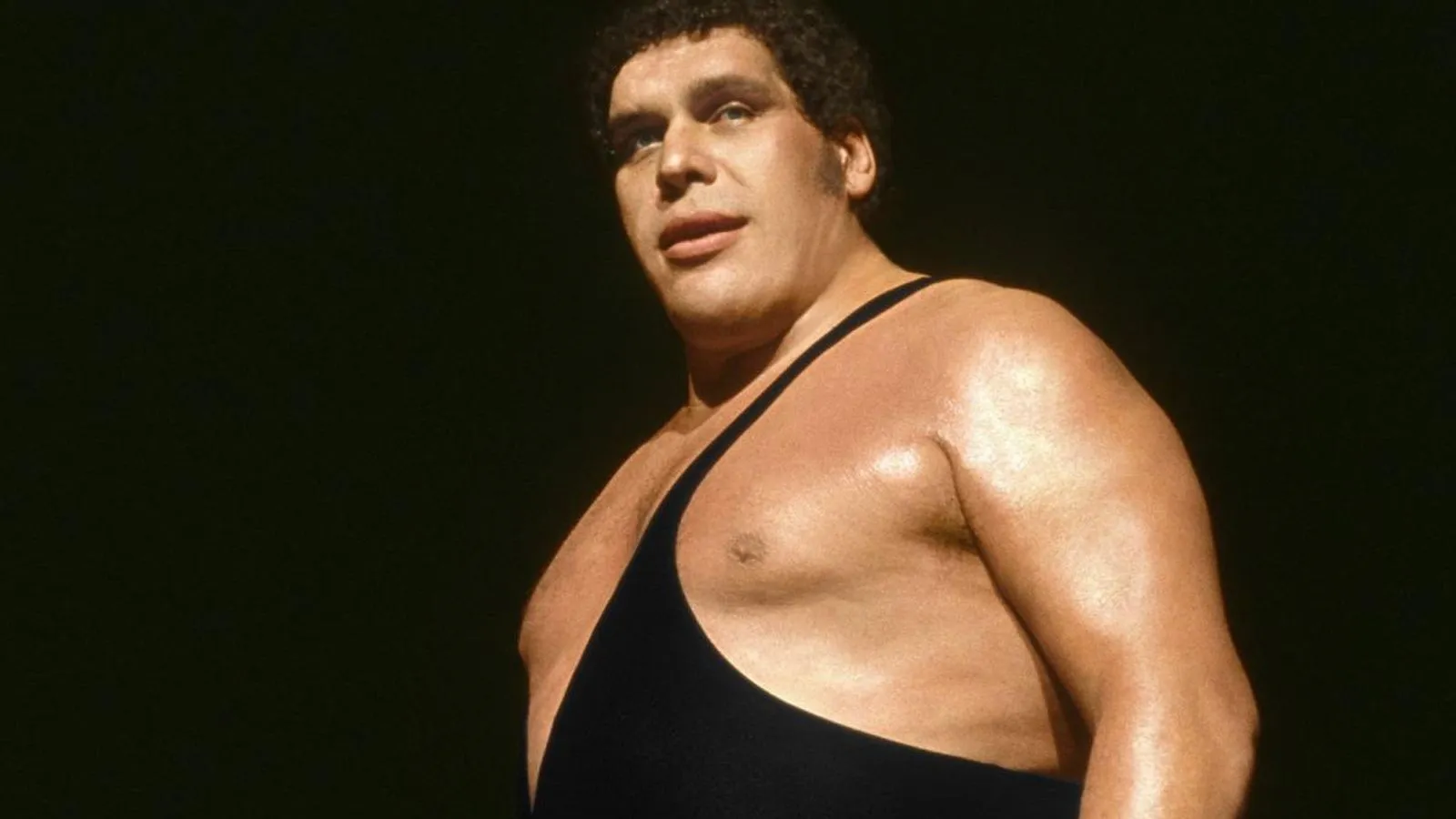 andre the giant height