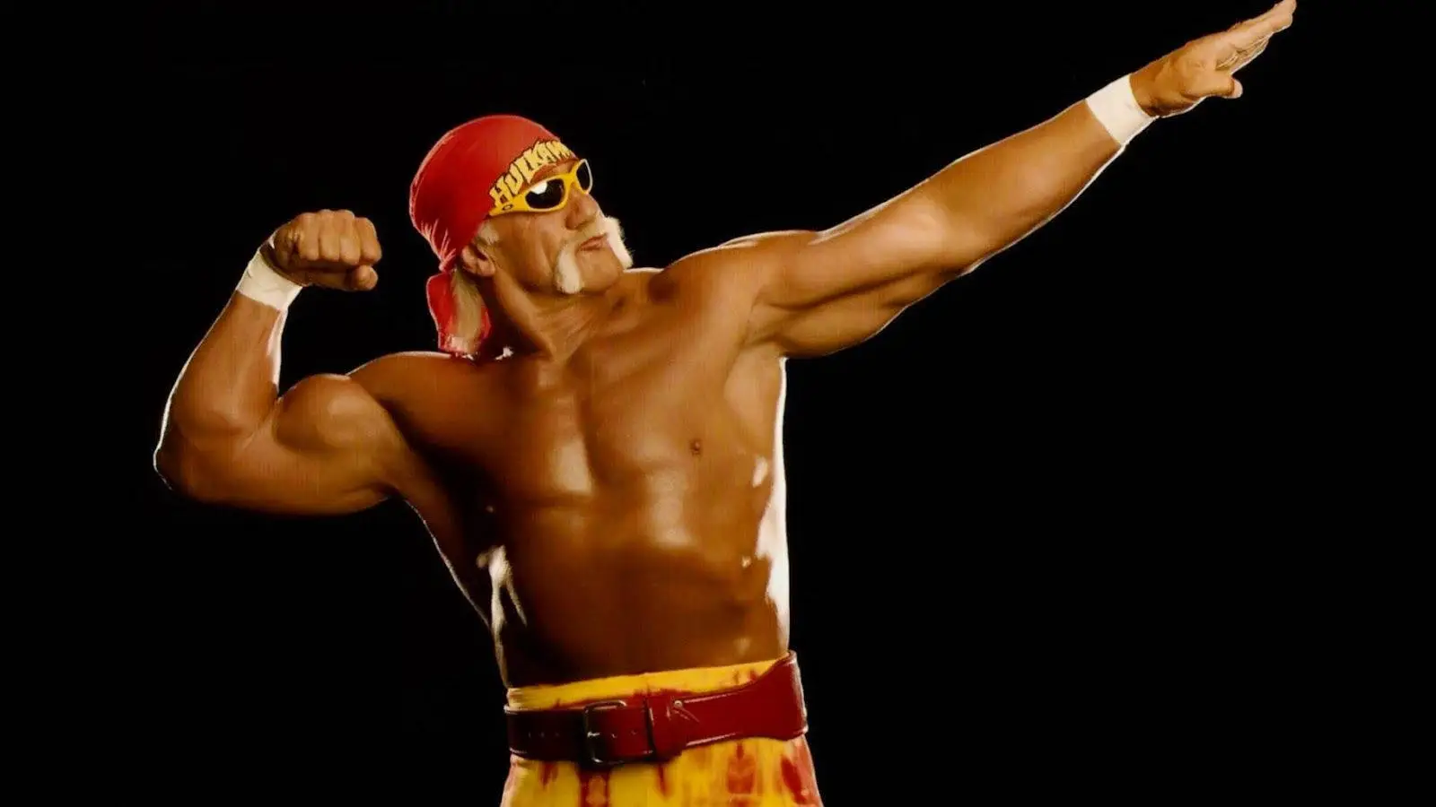 hulk hogan height